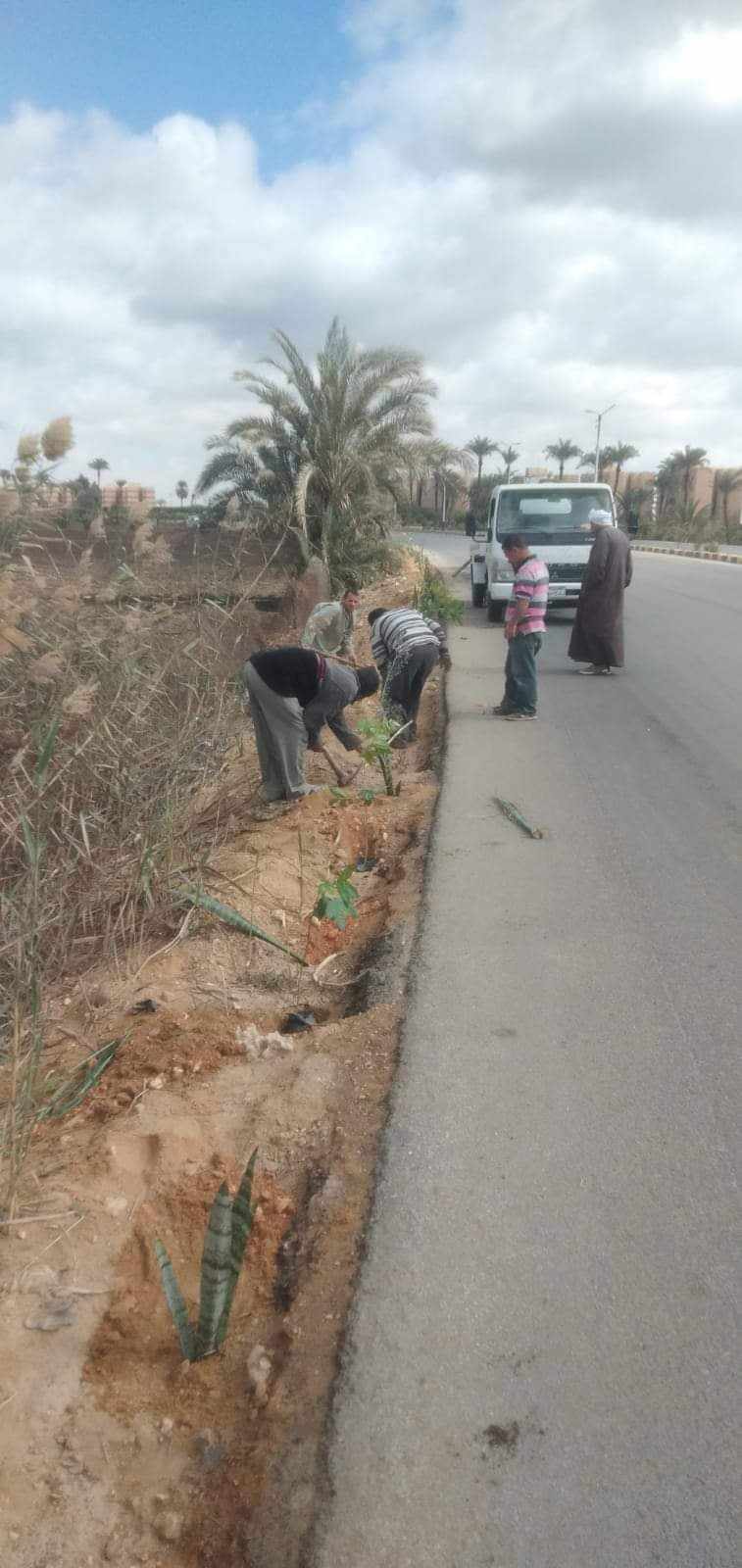 جانب من فعاليات المبادرة (1)